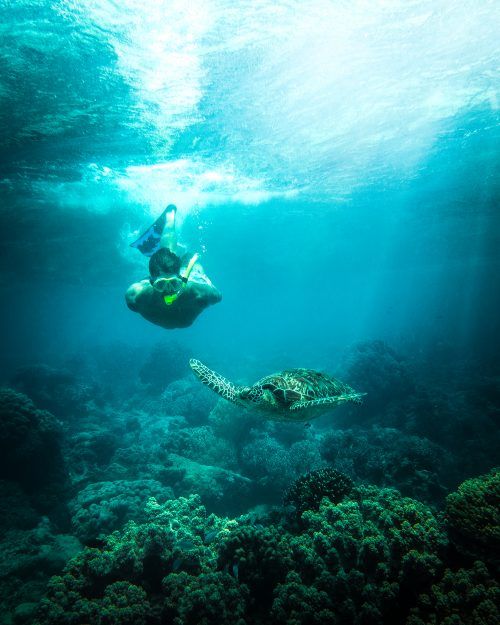 top 7 things to do in hikkaduwa, sri lanka full guide (1)