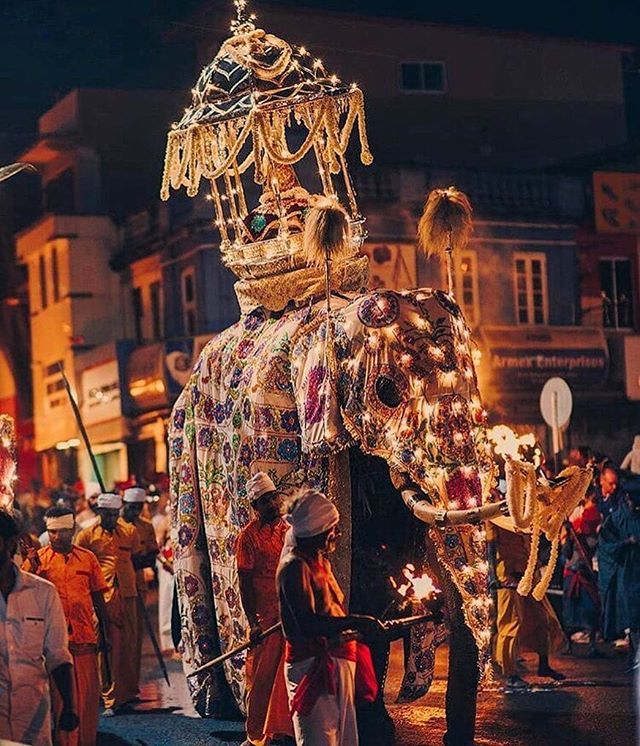 he annual kandy esala perahera 👣🦄 location… (2)